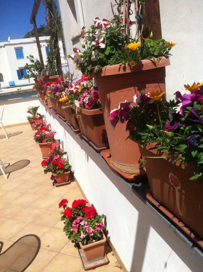 B&B Celestina Ischia Lacco Ameno  Exterior photo