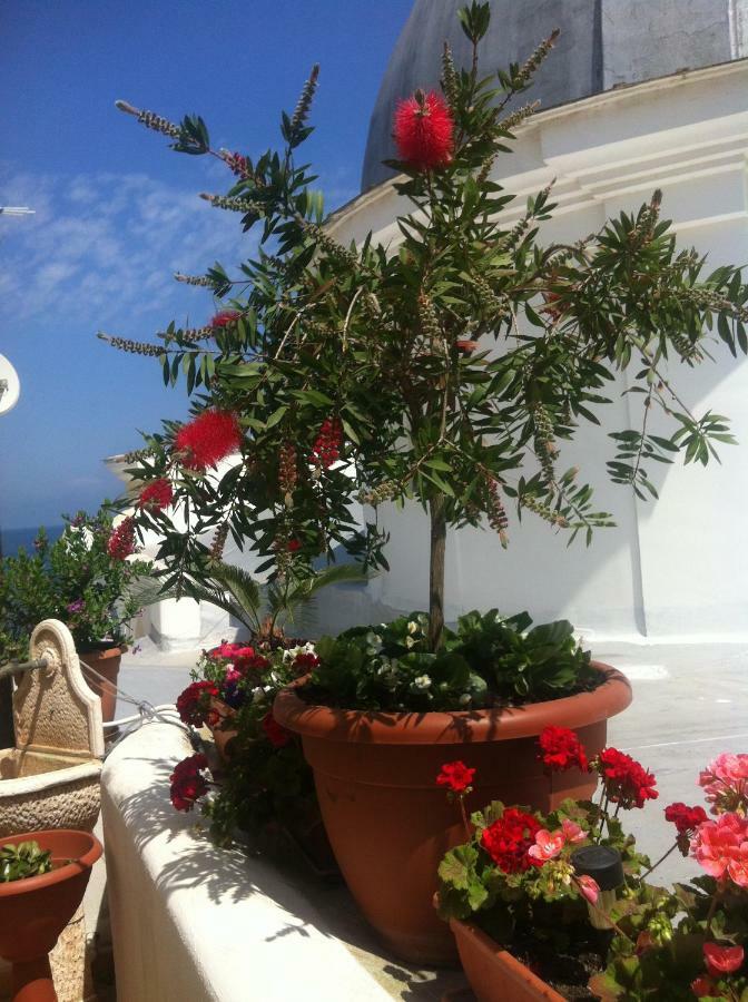 B&B Celestina Ischia Lacco Ameno  Exterior photo